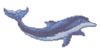 DOLPHIN No 9
