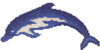 DOLPHIN No 5